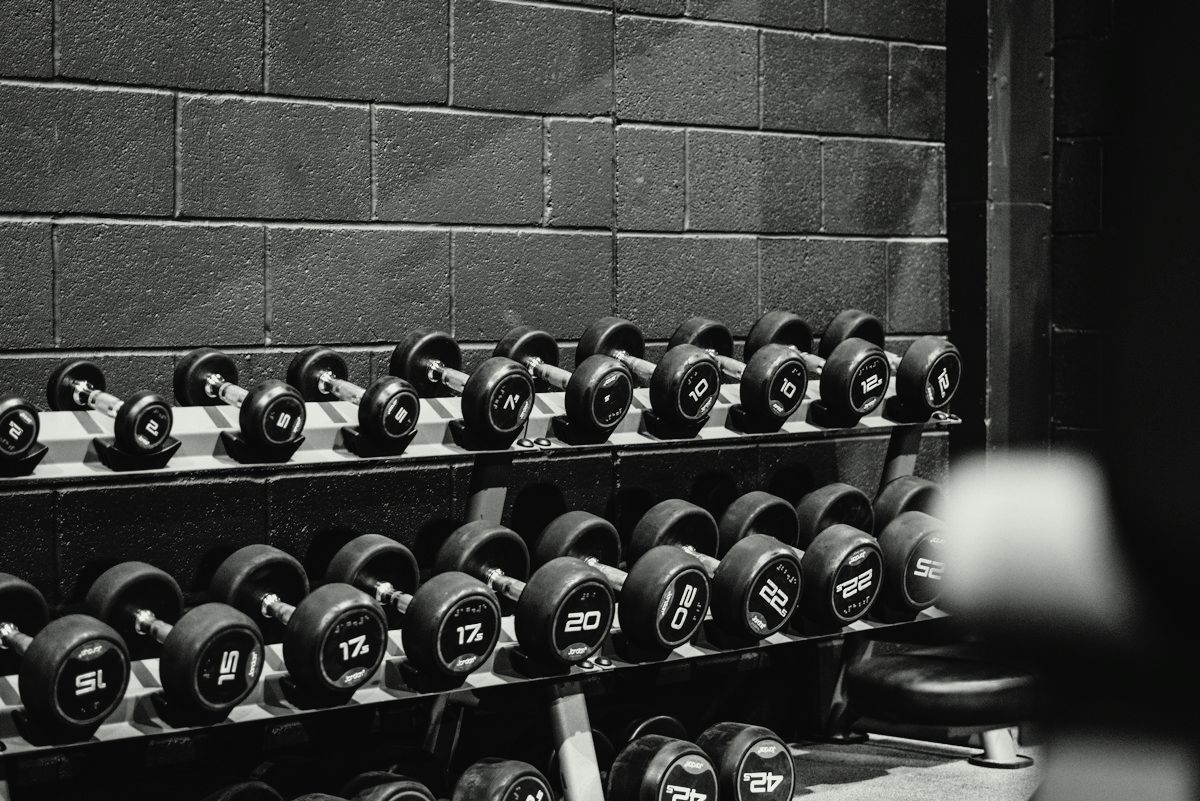 A long rack of dumbbells