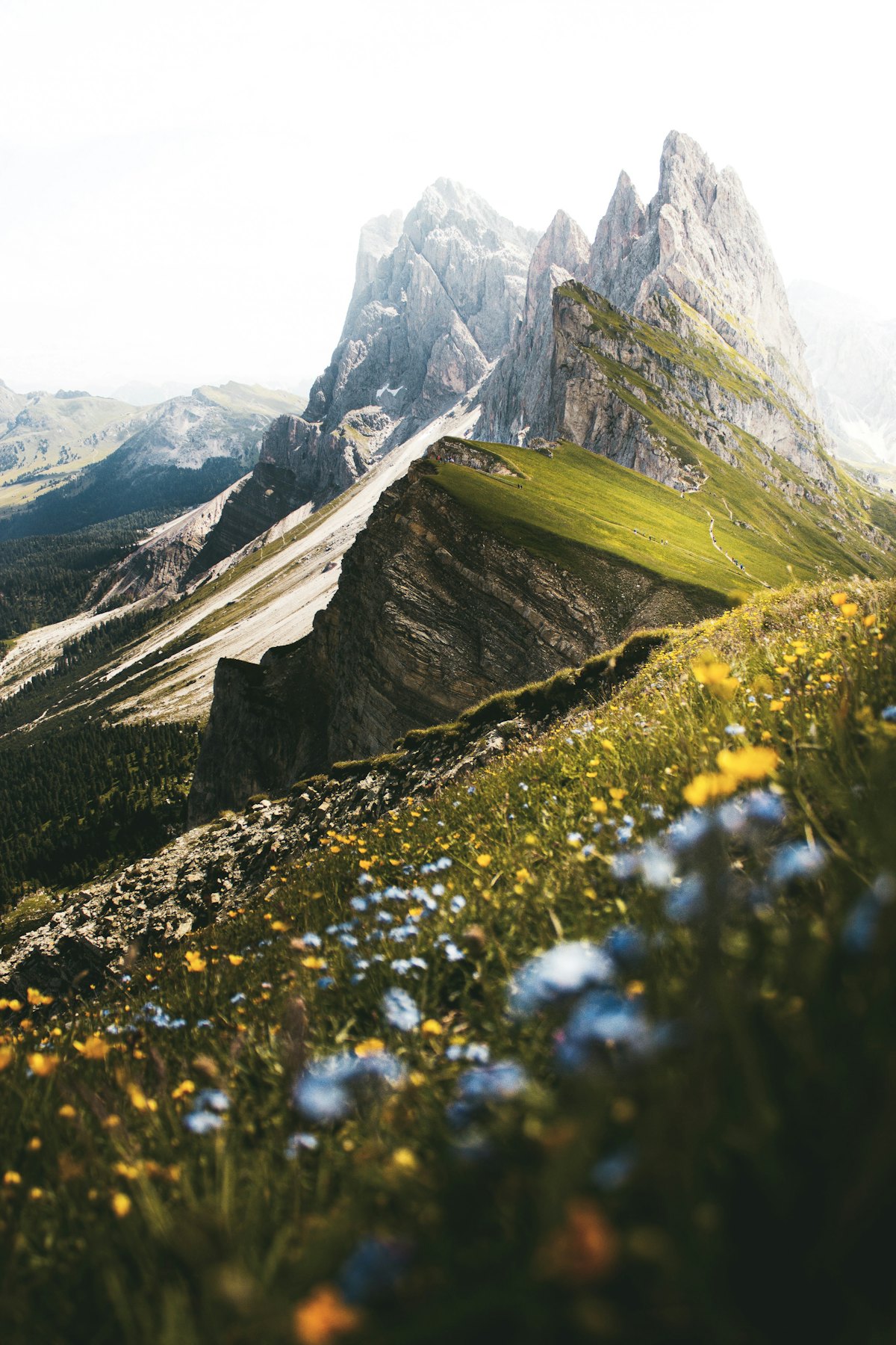 Mountain landscape